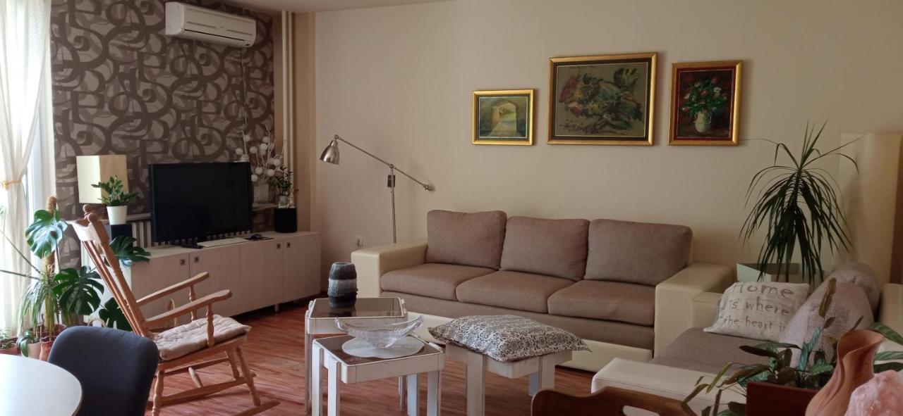 Branysol Apartman Újvidék Kültér fotó