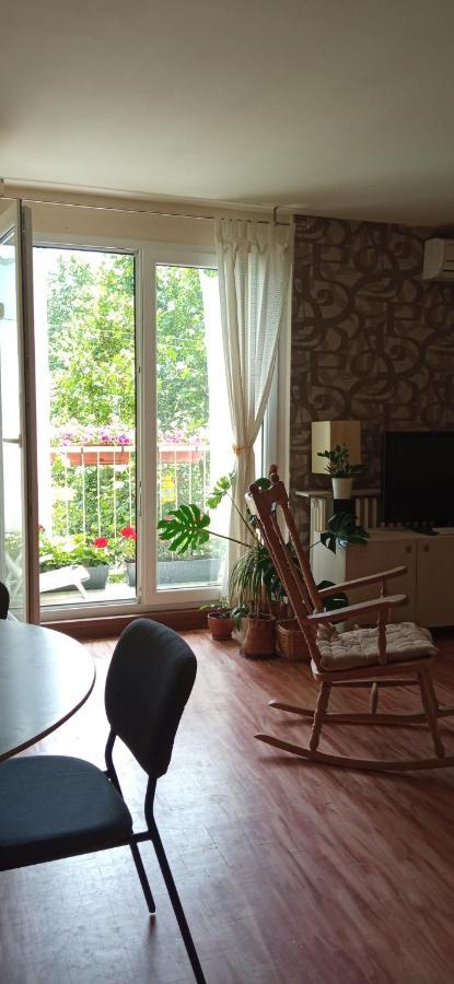 Branysol Apartman Újvidék Kültér fotó